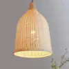 Ceiling Lamp CL074 مصباح سقف