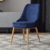 Dining Chair DCH005 كرسي سفرة