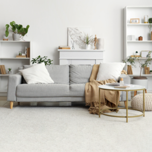 Living Room - غرفة المعيشة