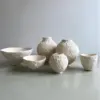 Vases Ptco مجموعة 6 فازات